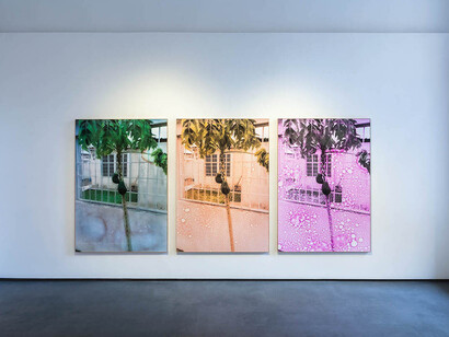 Oleñka Carrasco, Patria. La casa, corrosiva, exhibition view. Courtesy of Tobe Gallery