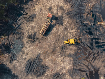Explore a dualidade entre criação e destruição, humanização e mecanização