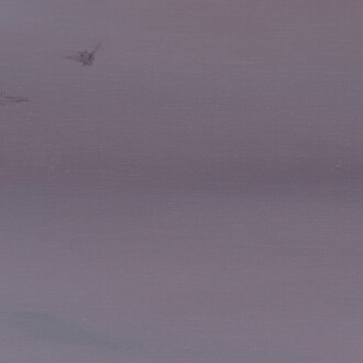 Paul P., Untitled, 2020. Courtesy of Galleria Massimo Minini