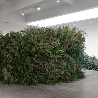 Meg Webster, Thicket, exhibition view. Courtesy of Paula Cooper Gallery