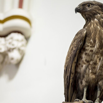 Natural assets, conservation. Courtesy of The Museum and Library of Hungarian Agriculture