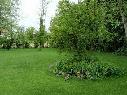 A residential garden outside the city