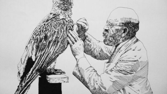Hélène Depotte, Prométhée, 2011, Inchiostro su carta, 55 x 65 cm, Courtesy Gagliardi Art System, Torino
