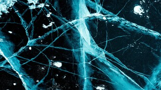 L'Amigdala è una piccola struttura del cervello situata nel lobo temporale e svolge un ruolo centrale nell'elaborazione delle emozioni