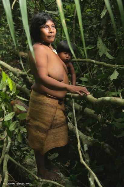 An Awá woman, taking care of her son