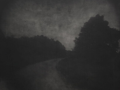 Sally Mann, Battlefields, Chancellorsville (rever's turn), printed circa 2003. Courtesy of the Art Gallery of NSW