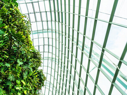 This vibrant garden demonstrates the fusion of ecomimicry and urban design, using natural elements to foster sustainability