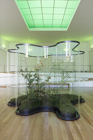 Daniel Steegmann Mangrané
A Transparent Leaf Instead Of The Mouth, 2016-2017 Installation view, Fundação de Serralves, Porto, 2017 Courtesy the artist and Esther Schipper, Berlin Photo: Andrea Rossetti