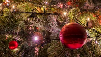 As festividades desta época do ano são propícias a isso, porque são as festividades da família, mas não nos deveríamos lembrar da família e de estar presentes apenas nesta data, mas sim durante todo o ano! O que é que tem a mais o dia 25 de dezembro do que qualquer dia do ano? Nada, a não ser a referência à data festiva, mas como se diz na gíria “o Natal é quando o Homem quiser!” e, por isso mesmo, é que acho que a família não deveria ser celebrada apenas nesta data, mas sim todos os dias