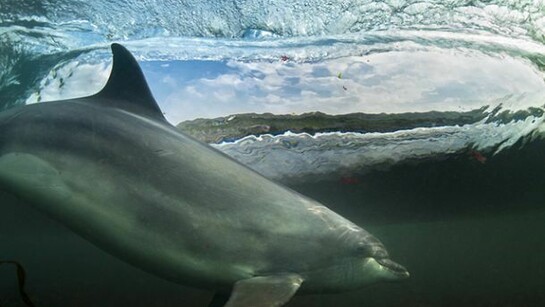Coast and Marine Winner - In the living room BWPA 2013