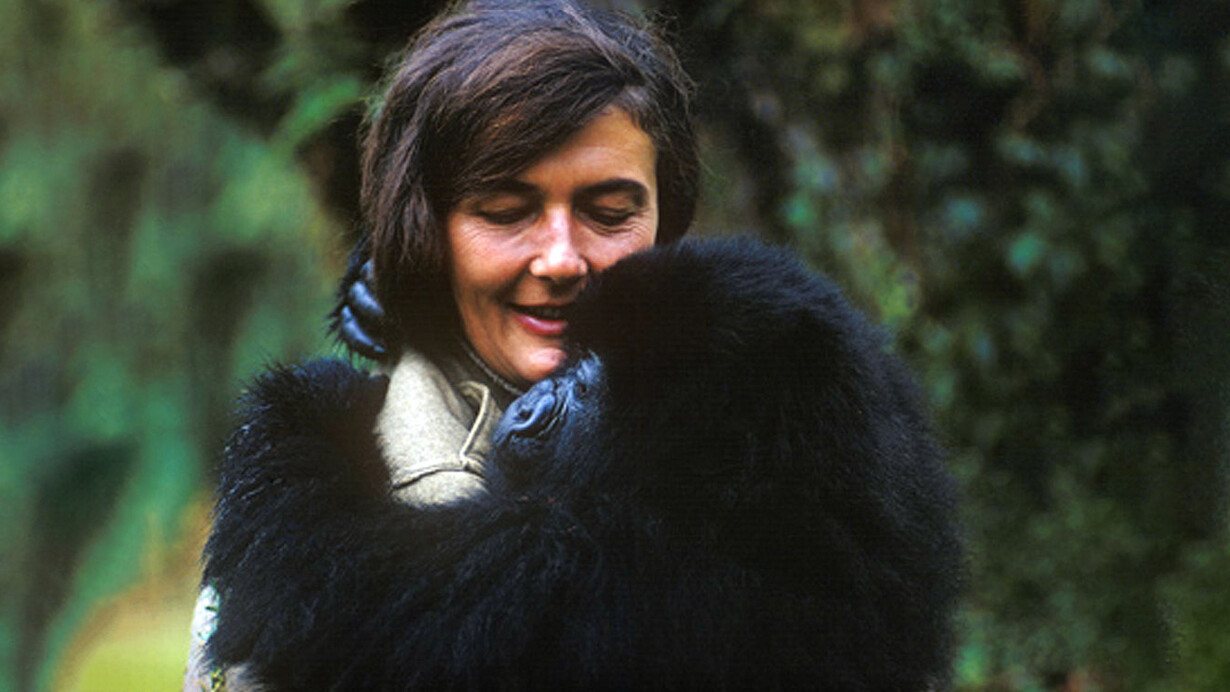 Dian Fossey
