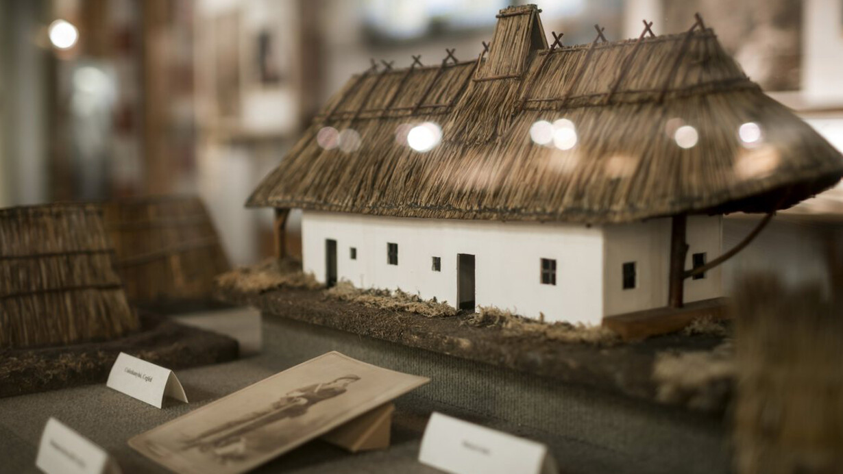 The plant kingdom. Courtesy of Museum and Library of Hungarian Agriculture