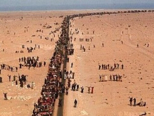 Morocco celebrates the 38th anniversary of the Green March