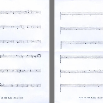 Lenka Clayton, Birds on the wire in the series "Typewriter drawings", 2025. Courtesy of Catharine Clark Gallery