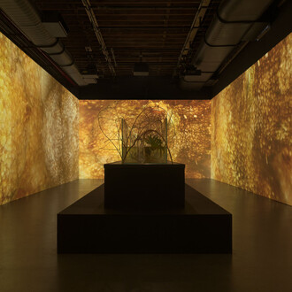 Tuomas A. Laitinen, Siphon, exhibition view. Courtesy of Pioneer Works