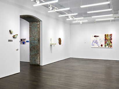 Francesse Dolbrice, 8, exhibition view. Courtesy of White Columns Gallery