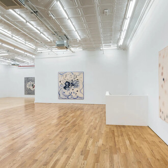 Claire Oswalt, Primo piano, exhibition view. Courtesy of Broadway Gallery