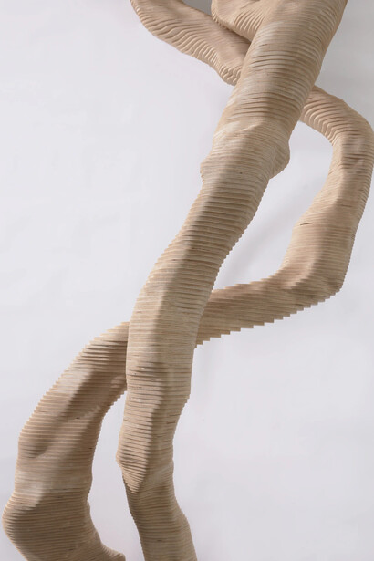 Daniel Crooks, Object #8 (pause and turn), 2021 (detail). Courtesy of Art Gallery of NSW