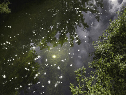 Ellie Davies, Chalk Streams. Courtesy the artist