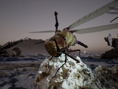 Jakob Kudsk Steensen, The ephemeral lake, 2024. Courtesy of Hamburger Kunsthalle