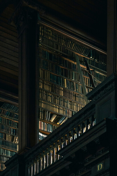 Imponente biblioteca llena de libros. El personaje del Quijote enloquece de leer tantos libros de cballería