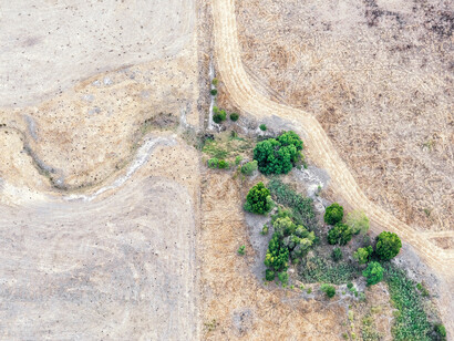 Zoe Wetherall, Hint of green (Yarra Valley, Victoria, Australia). Courtesy of Front Room Gallery
