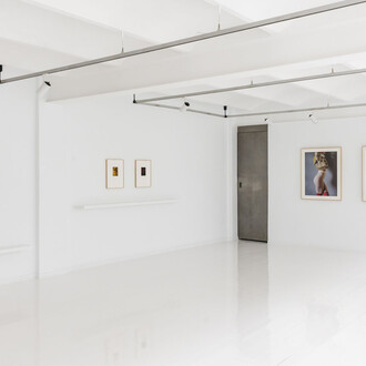 Xènia Fuentes, La piel y el oro (The skin and the gold), exhibition view. Courtesy of Alzueta Gallery