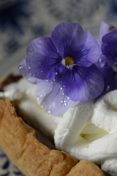 Torta alla viola