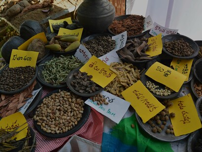 Much of international aid has helped wipe out biological and cultural diversity @Ashish Kothari