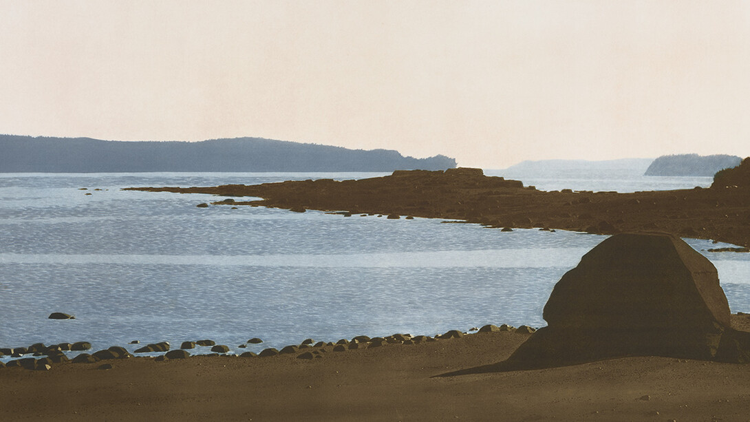 Takao Tanabe, Cormorant island, 2023