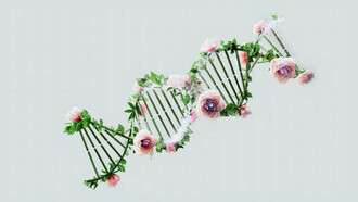 Investigadores utilizan la química sintética para fabricar ADN espejo y enzimas capaces de sustentar una biología con orientación totalmente invertida