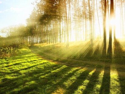 La naturaleza y su cambio a través de las estaciones están muy presentes en la poética del haikú