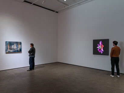 Laurent Grasso, Artificialis, exhibition view. Courtesy of Sean Kelly Gallery