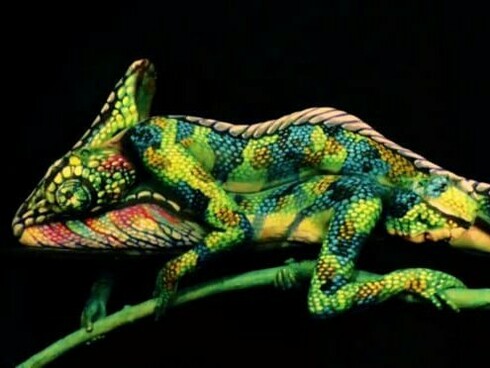 Johannes Stoetter, Il camaleonte, Body Painting