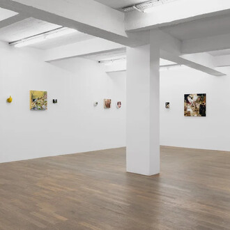 France Bizot, Natures molles, exhibition view. Courtesy of Backslash Gallery