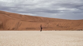 Una Superintelligenza Artificiale potrebbe autodistruggersi nel momento stesso in cui prendesse coscienza di essere un’arma capace di annientare tutto, compresa se stessa