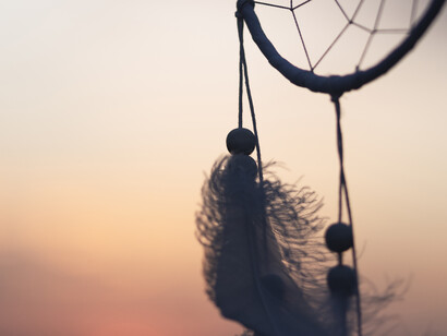 As a spider traps its prey, bad dreams are kept at bay