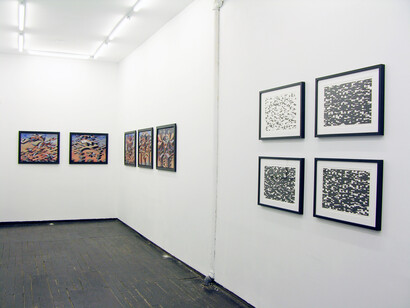 Original Show, overview