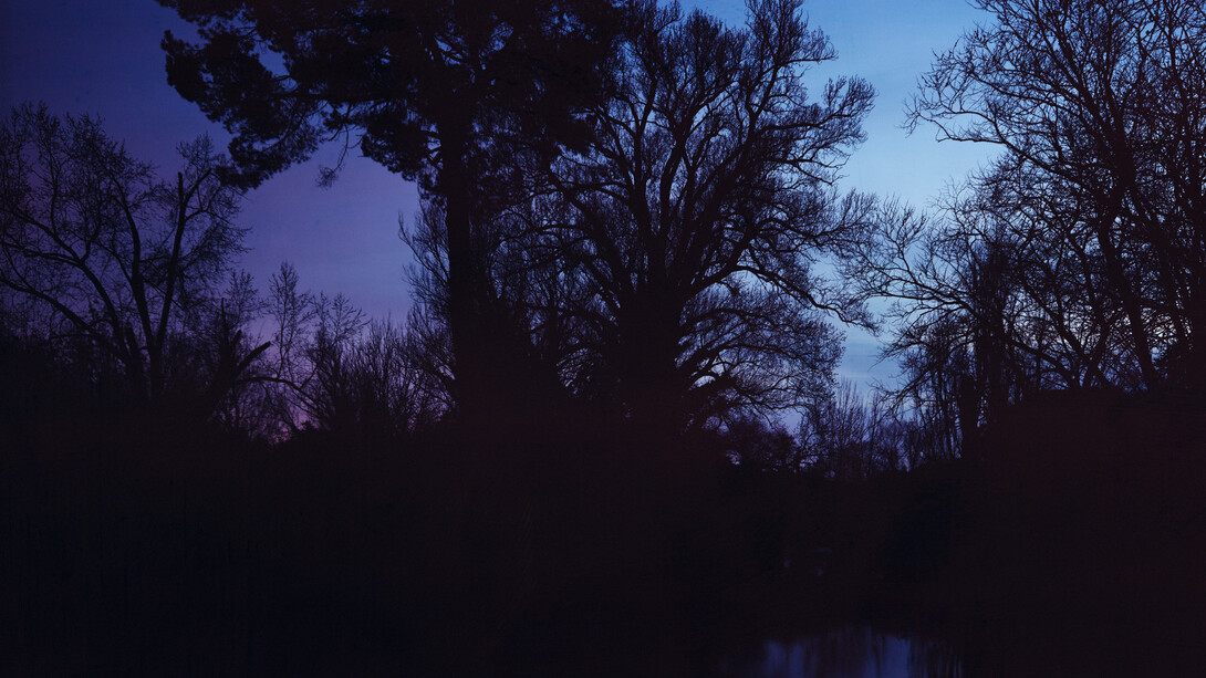 Elger Esser, Ninfa (kisseis), 2013. Courtesy of Bruce Silverstein Gallery