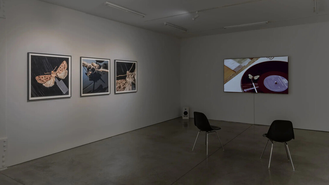 Gabriel Lester, Dig it, exhibition view. Courtesy of Ryan Lee Gallery