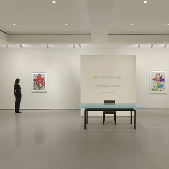 Sebastiaan Bremer, Super modern things, exhibition view. Courtesy of Edwynn Houk Gallery