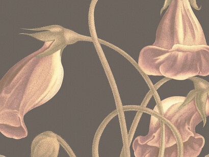 Vintage floral background featuring a gloxinia flower illustration, remixed from public domain artworks