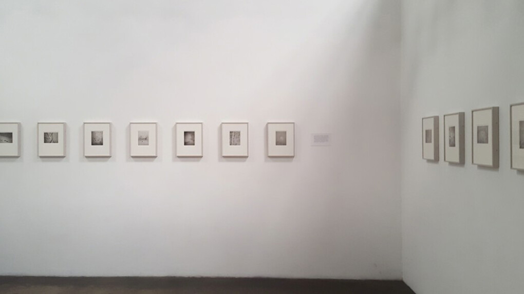 The Topography of Tears. Courtesy of Craig Krull Gallery