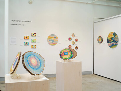 Jacks McNamara, The poetics of growth, exhibition view. Courtesy of Form & Concept