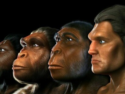 The evolution of Homo Sapiens