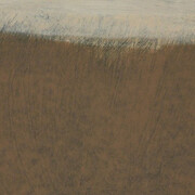 Court Tree Collective