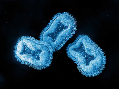 Monkeypox virus under a microscope