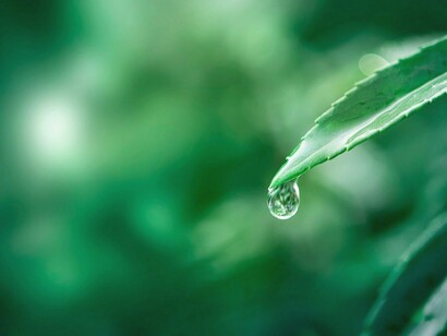 Materia, información, energía. Utilizamos la primera para almacenar las dos últimas y poderlas usar a discreción