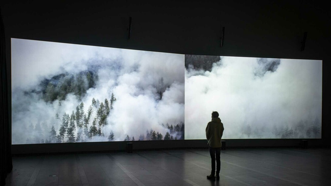 Eija-Liisa Ahtila, Reflection of a forest, exhibition view. Courtesy of Serlachius Museum