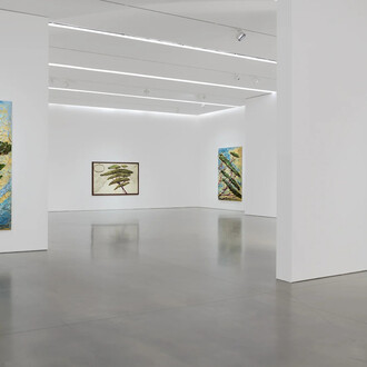 Julian Schnabel, Italy through its trees, exhibition view. Courtesy of Pace Gallery